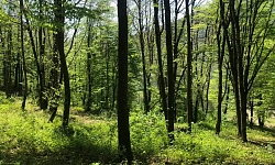 Шикарный видовой участок для строительства им...