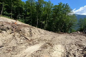 Роскошный участок в Красной Поляне 