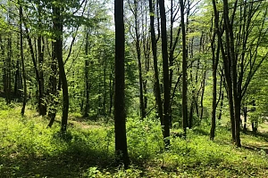 Шикарный видовой участок для строительства им...