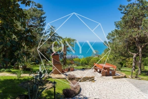 Изображение 11