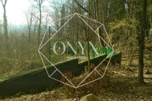 Изображение 7