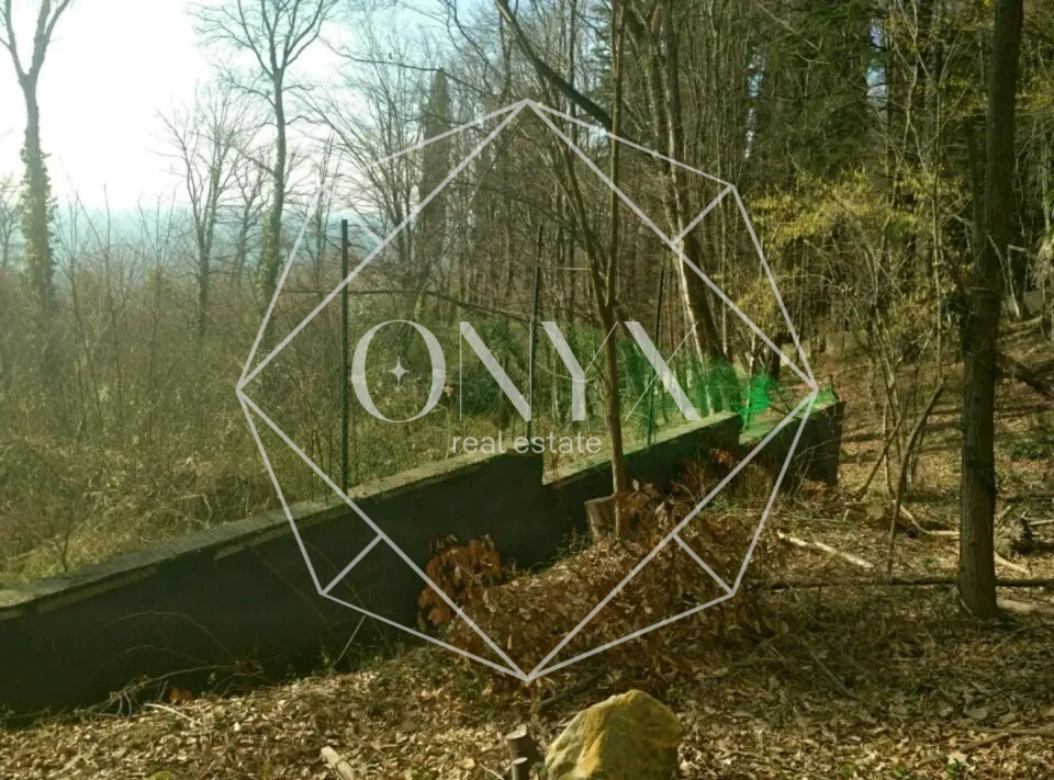 Изображение 7