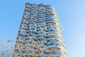 Изображение 30