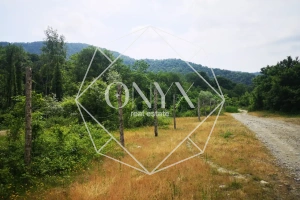 Изображение 7