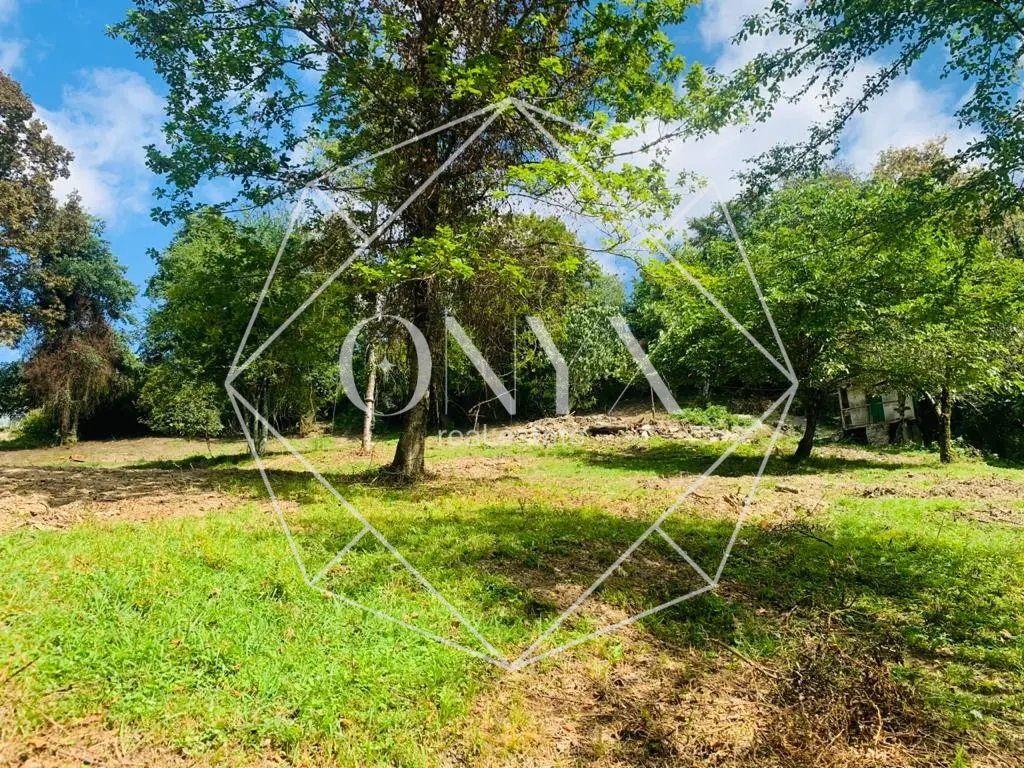 Изображение 8