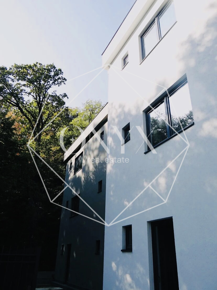 Изображение 12