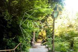 Изображение 14