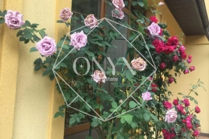 Изображение 23