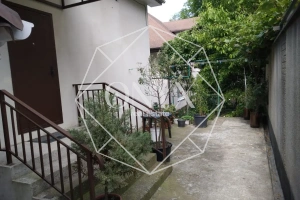 Изображение 12