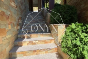 Изображение 12