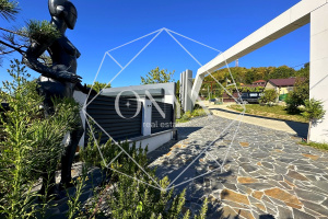 Изображение 21