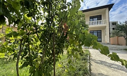 Хорошее предложение по хорошей цене