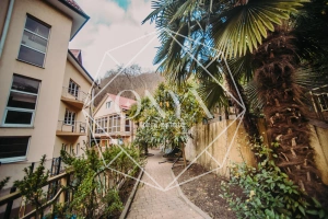 Изображение 10