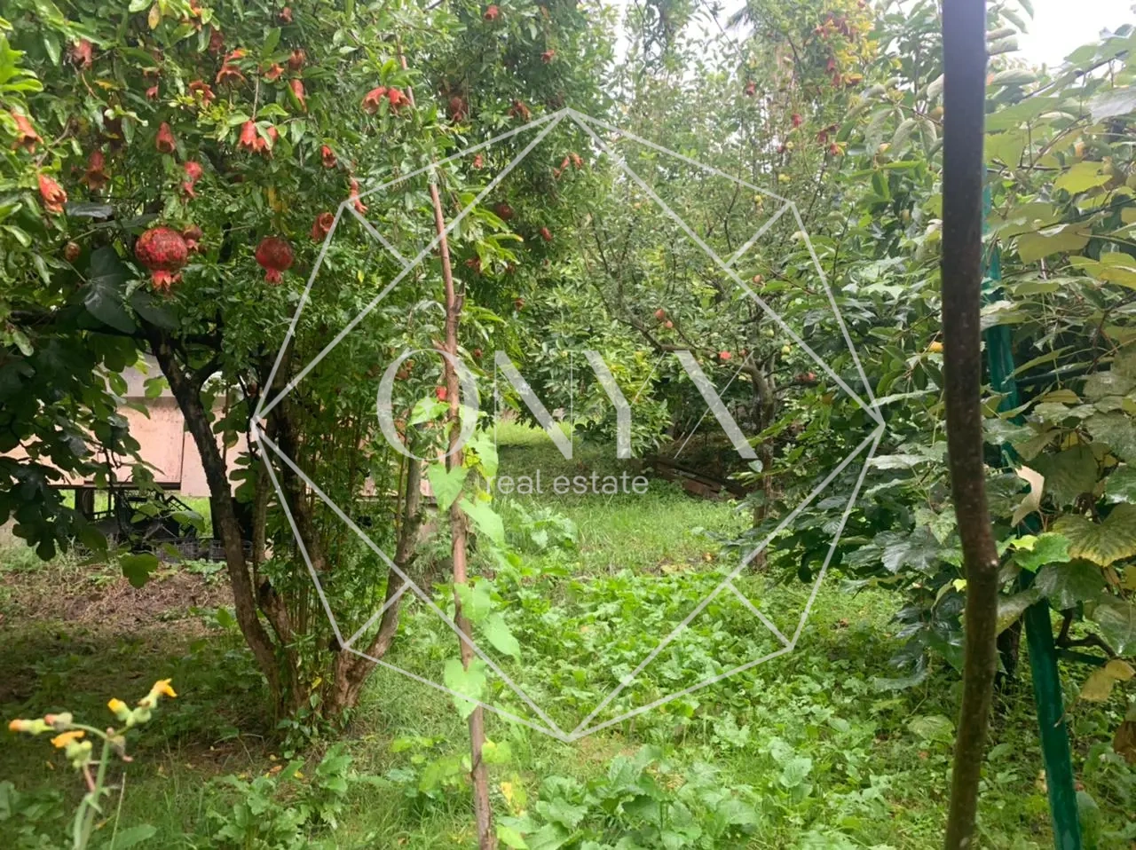 Изображение 9