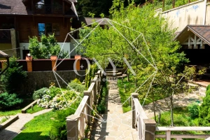 Изображение 62