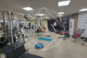 Изображение 8