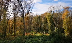 Земельный участок под строительство 