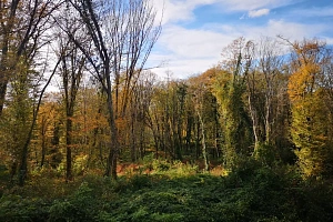 Земельный участок под строительство 