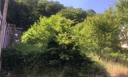 Участок в центре Дагомыса