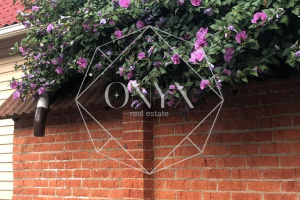 Изображение 16