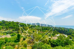 Изображение 16