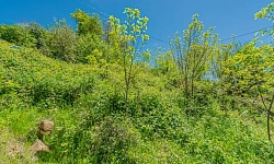 Участок с панорамным видом на море