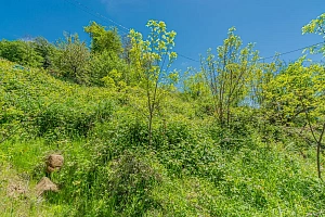 Участок с панорамным видом на море