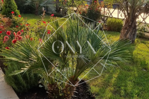 Изображение 23