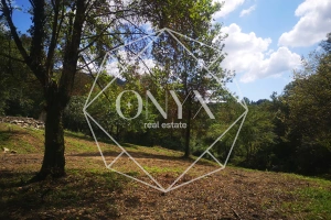 Изображение 11