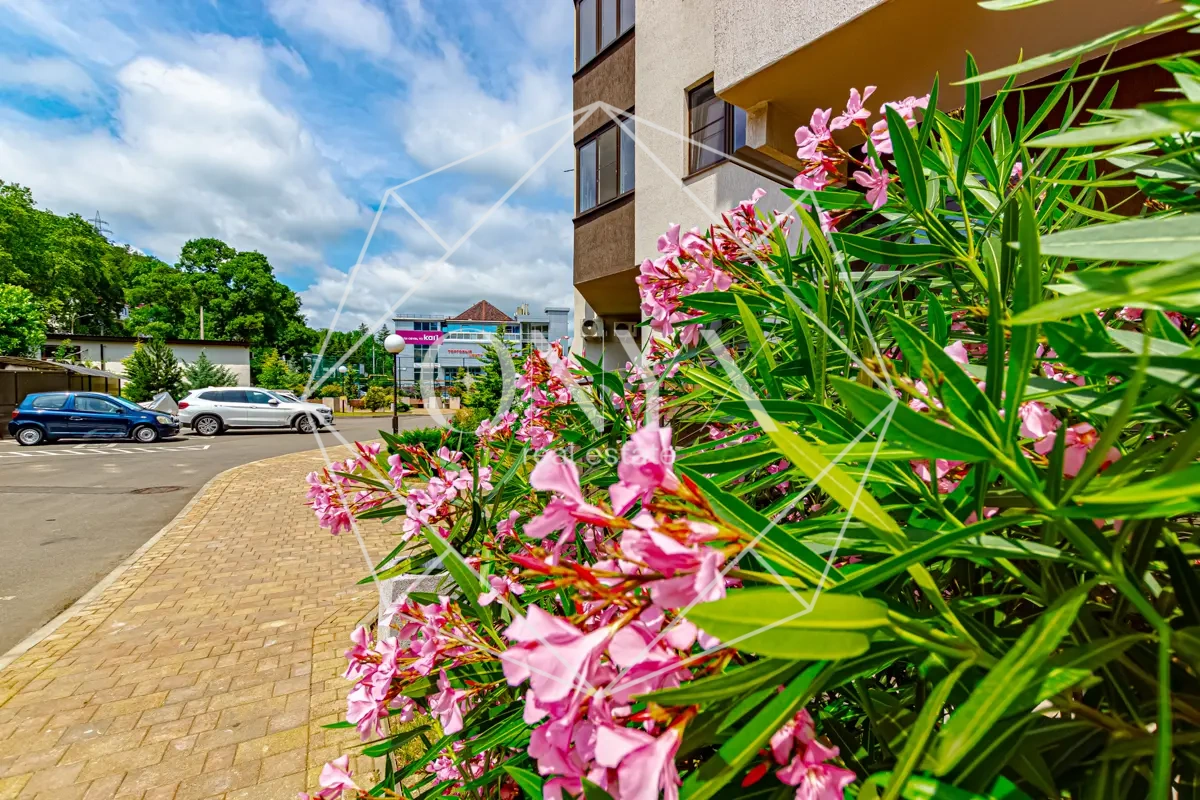 Изображение 114