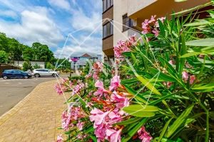 Изображение 114