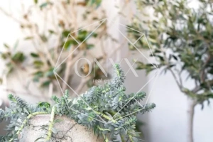 Изображение 22