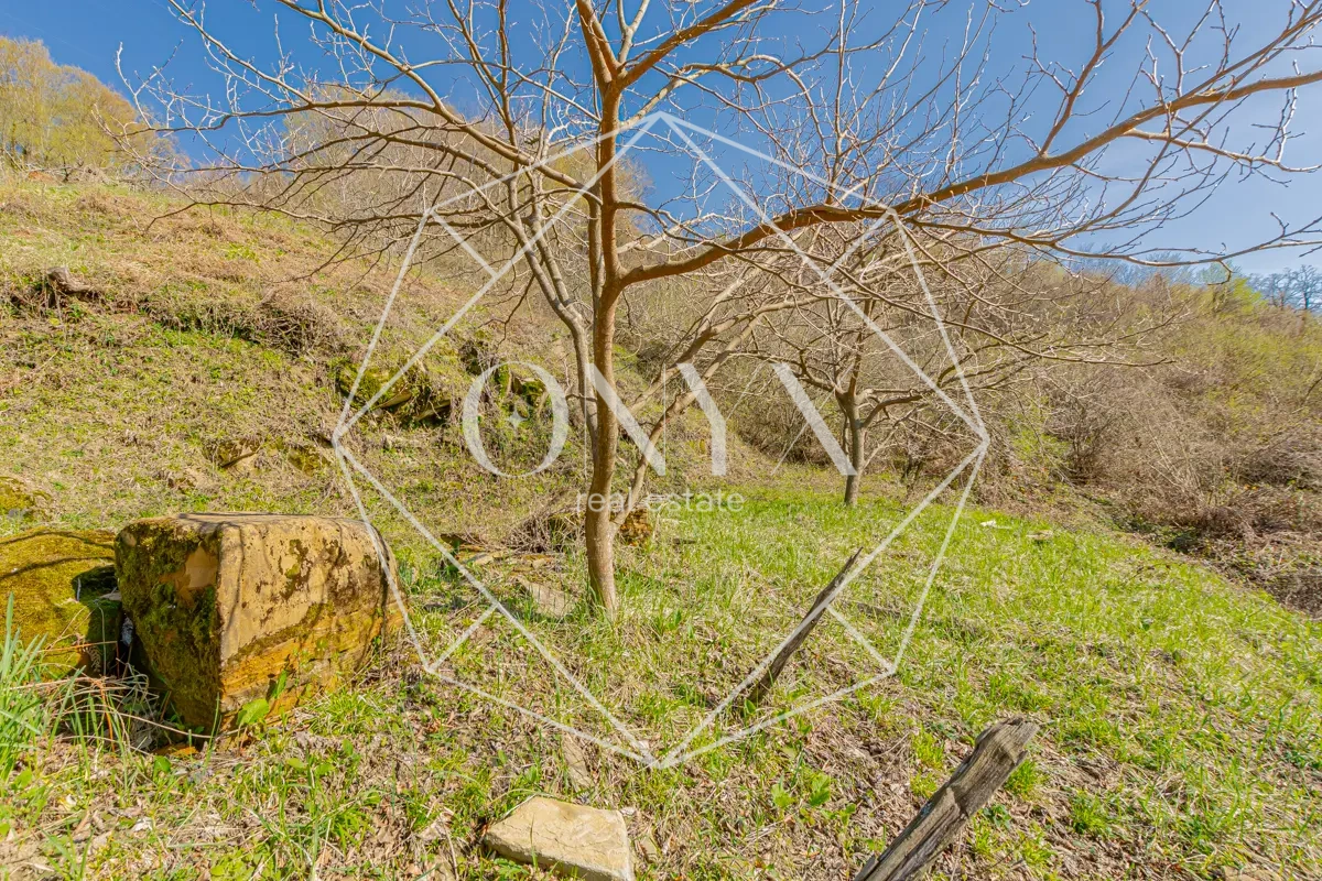 Изображение 7