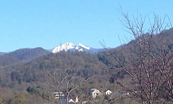 участок с плодоносящим садом