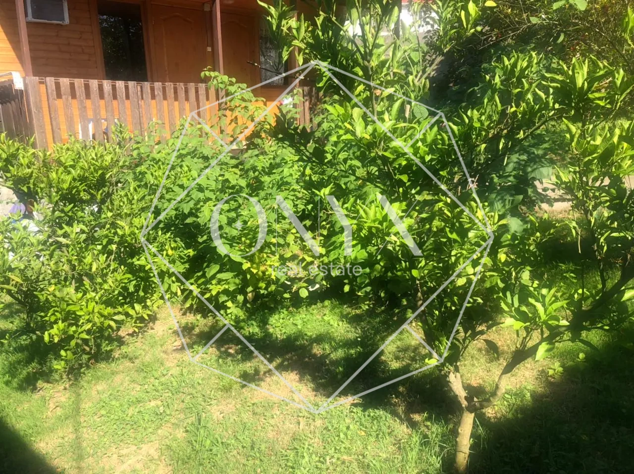 Изображение 9