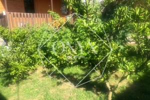 Изображение 9