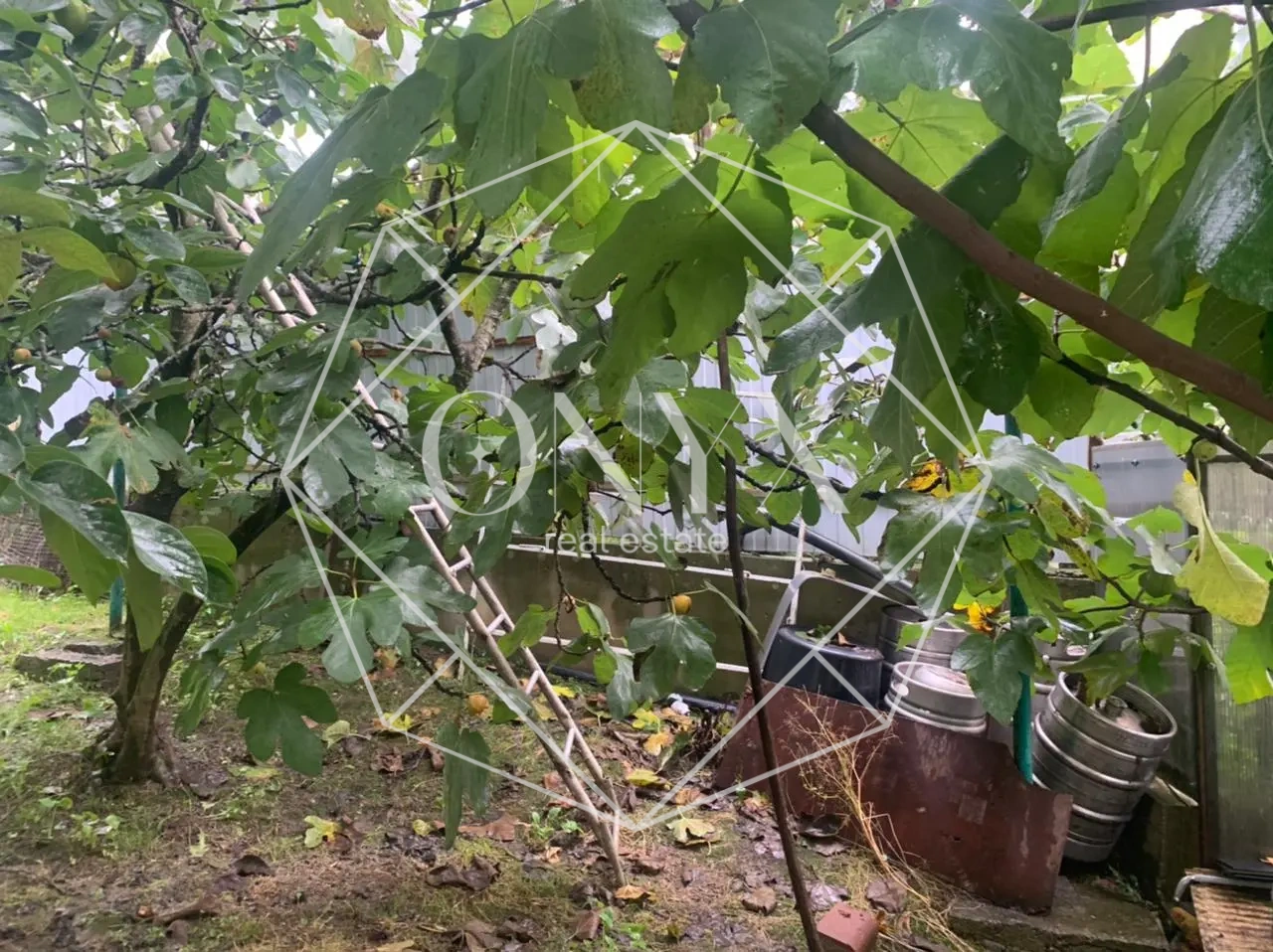 Изображение 21