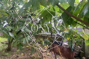 Изображение 21