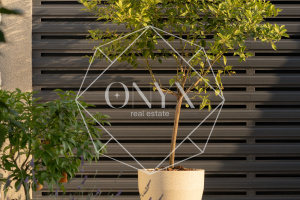 Изображение 24