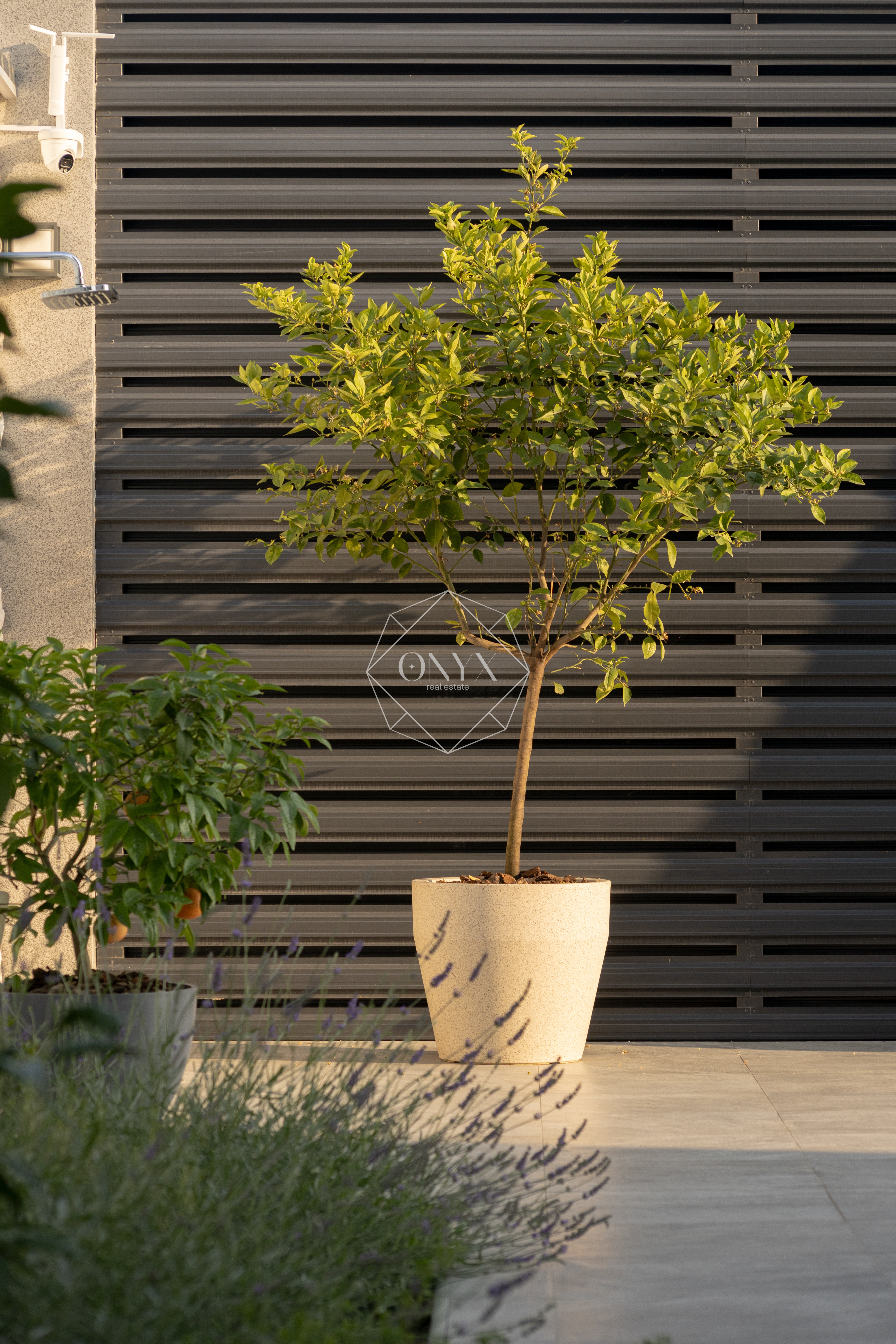 Изображение 24