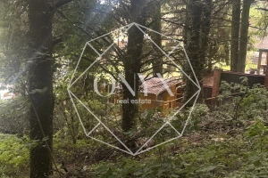 Изображение 10