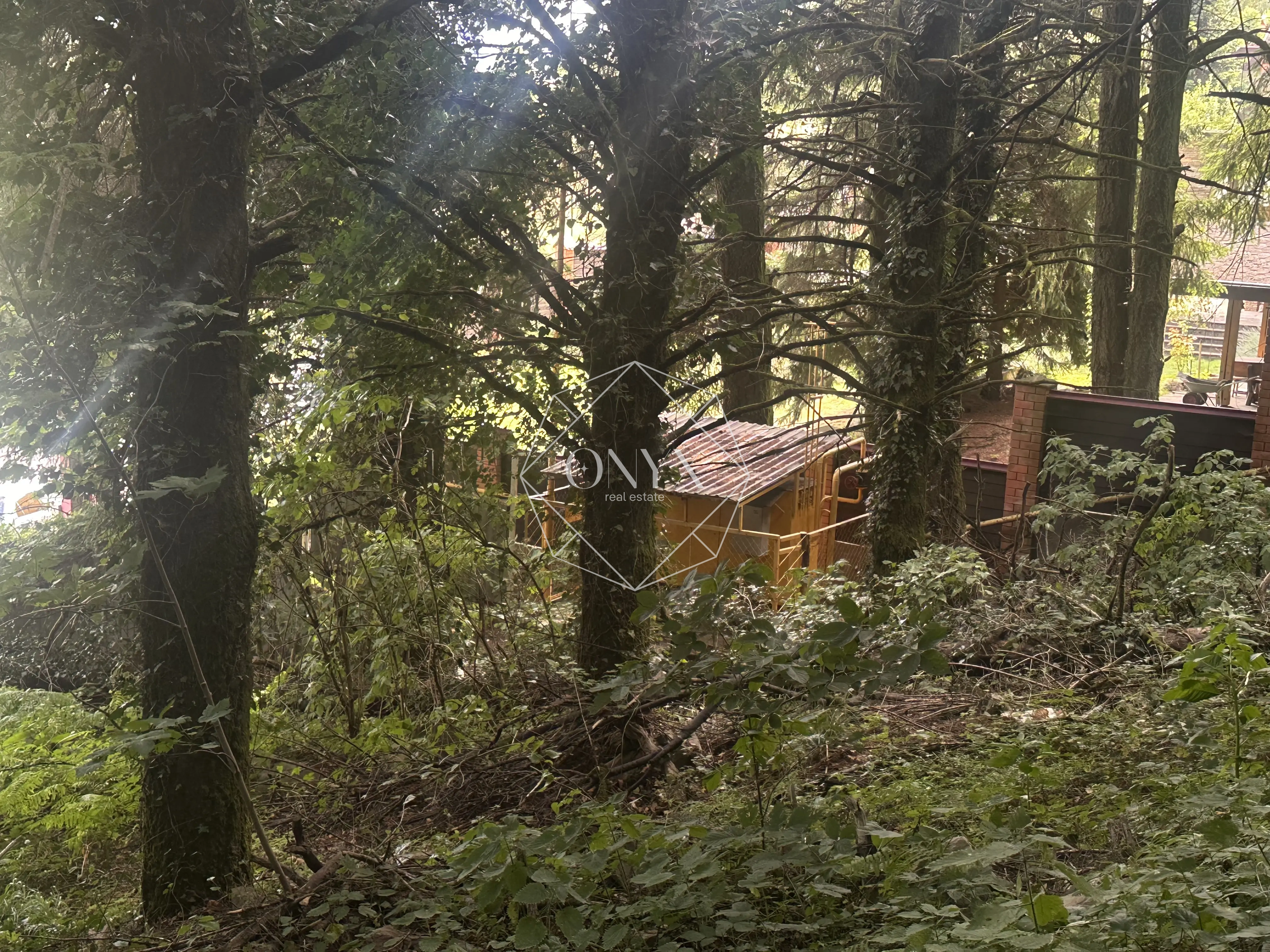 Изображение 10