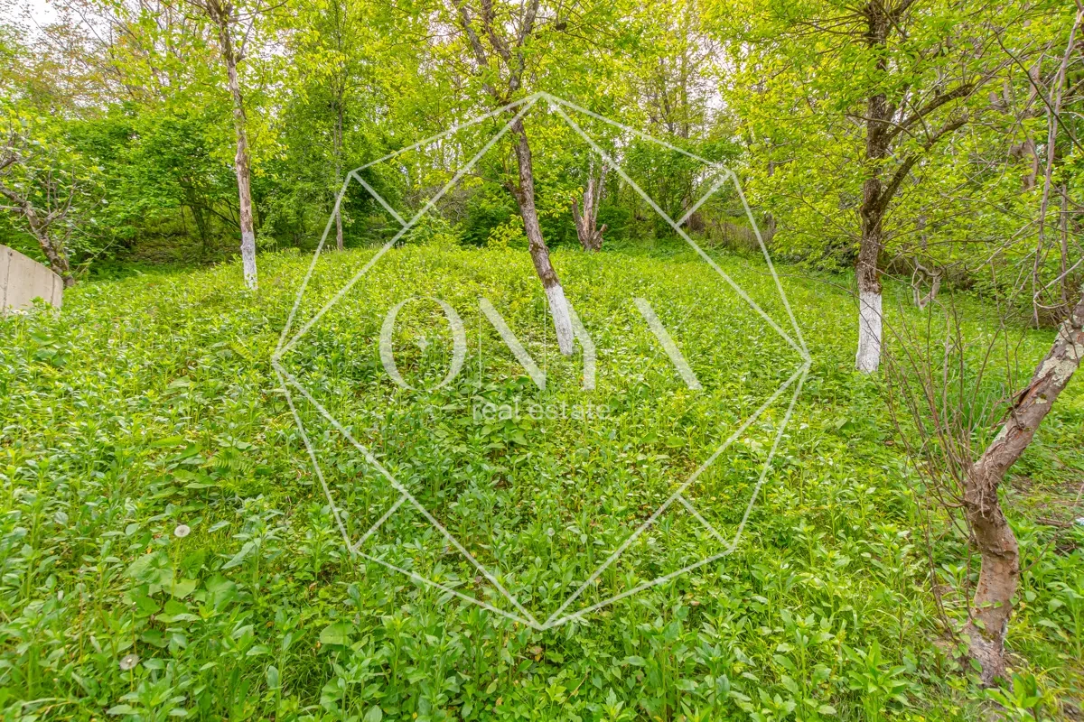 Изображение 12