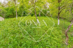 Изображение 12