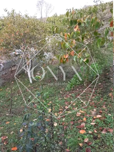 Изображение 15