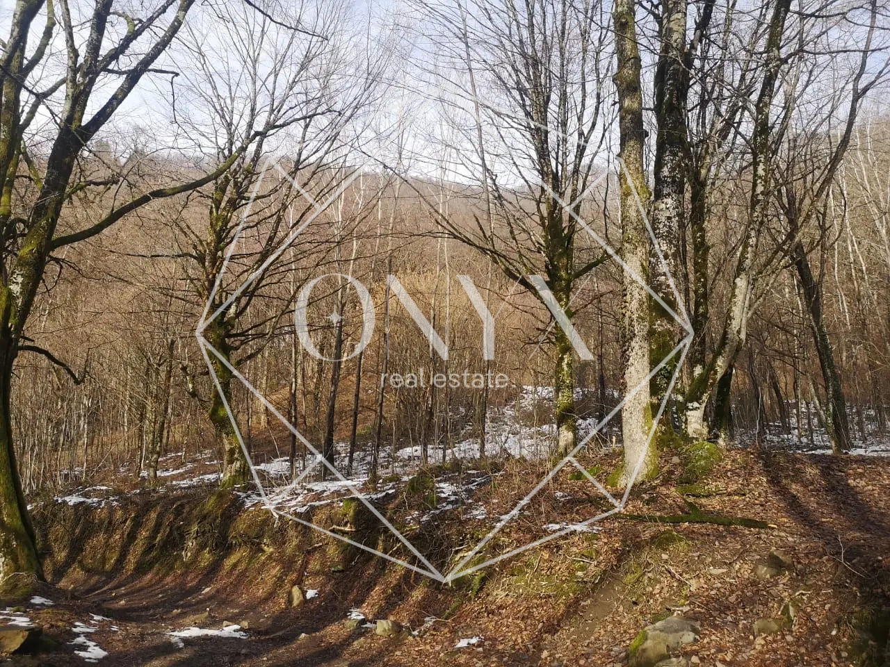 Изображение 9