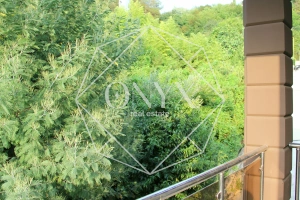 Изображение 7