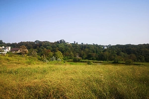 Шикарный земельный участок с разрешением на с...