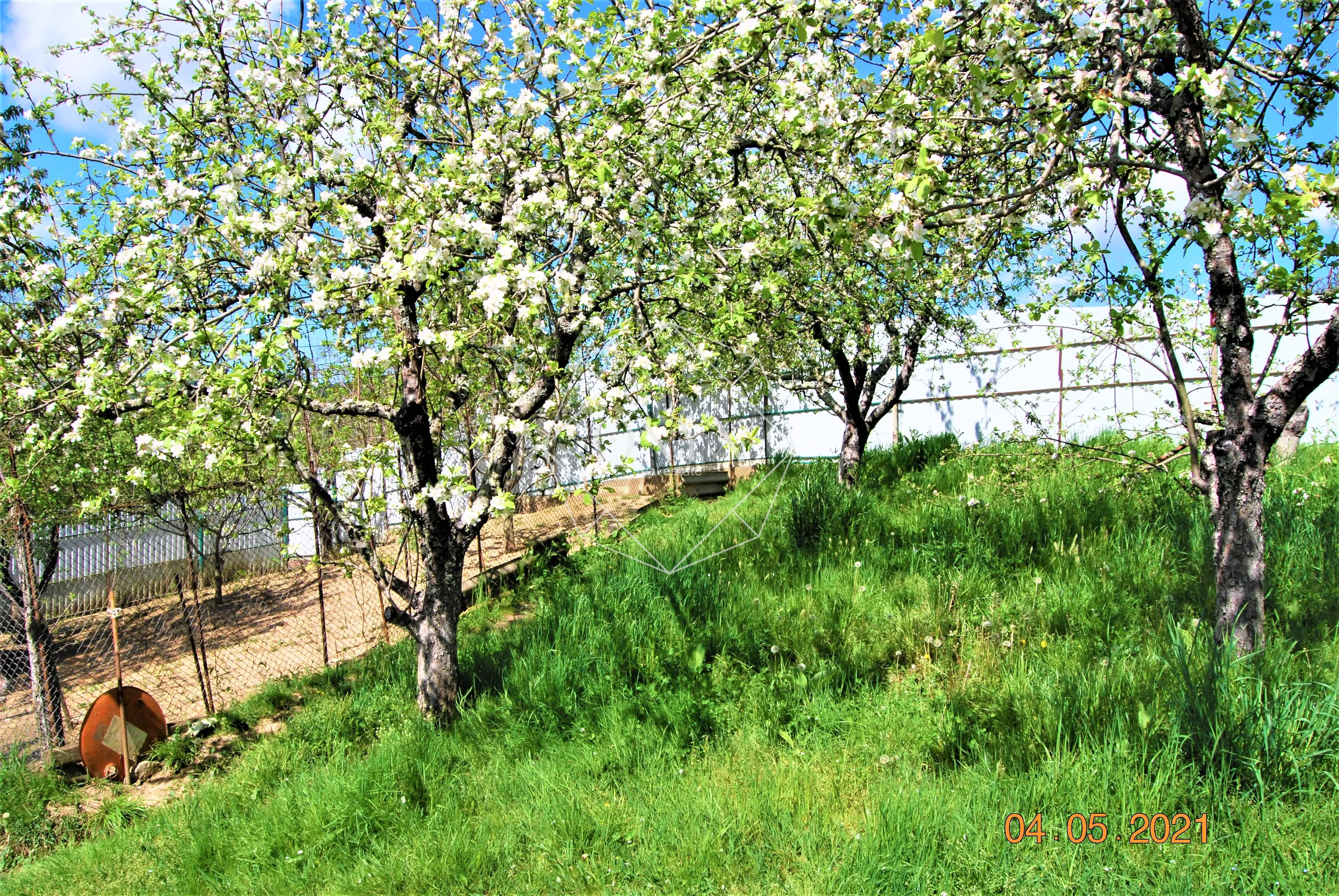 Изображение 5