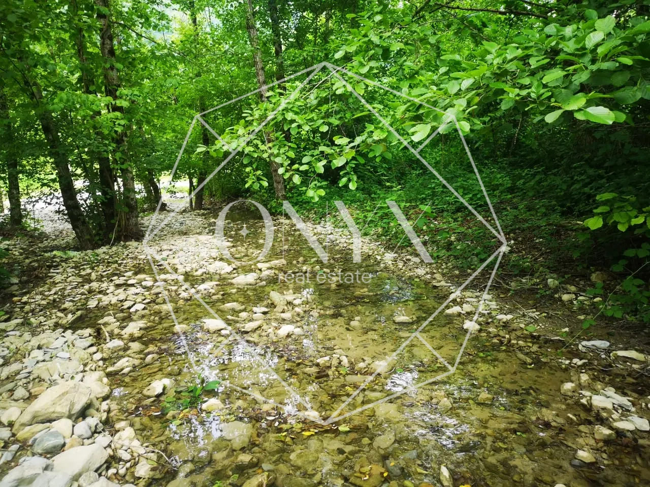 Изображение 12